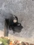 Хидравлична помпа за Мицубиши 1.6, снимка 1