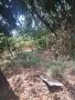 Продава се имот в село Каменец, област Плевен, снимка 6