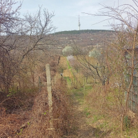 вила / парцел / лозе със постройка в град Силистра местност СЪР ЙОЛУ - пътя към гробищата -цена 10 0, снимка 6 - Вили - 36294861