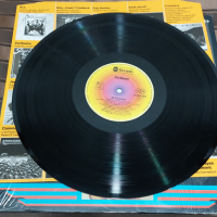 Pat Boone – 20 Super Hits, снимка 3 - Грамофонни плочи - 36348474