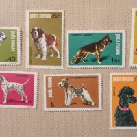  Румъния. 1981. Фауна. Породи кучета. , снимка 1 - Филателия - 40475274