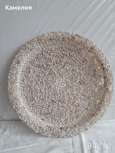 Декоративна чиния от морски охлюви, снимка 1