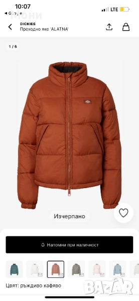 Преходно Яке Dickies, снимка 1