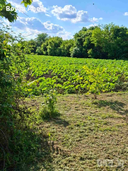 Имот в регулация, снимка 1