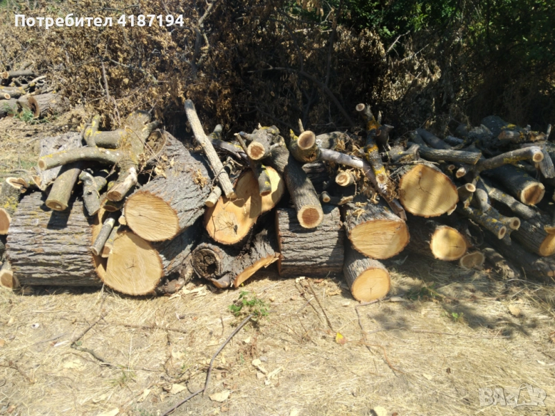 Дърва за огрев 60лв, снимка 1