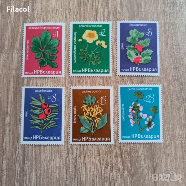 България 1976 Редки дървета и храсти., снимка 1