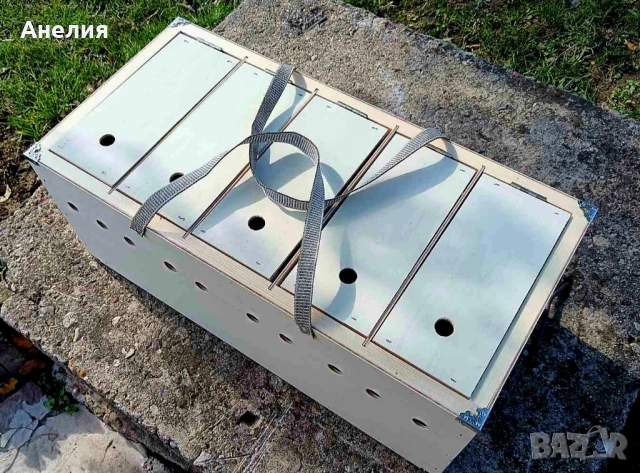 Преноска за гълъби за изложби, снимка 2 - Гълъби - 52112909