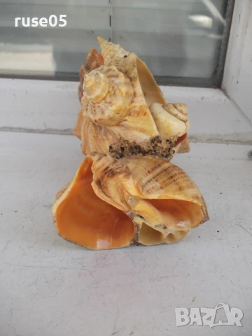 Фигура от морски дарове, снимка 8 - Други стоки за дома - 50553053