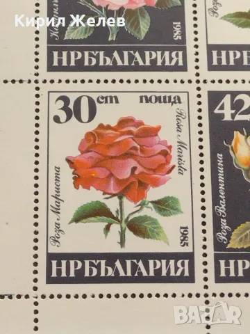 Пощенски марки чиста комплектна серия ЦВЕТЯ РОЗИ поща НРБЪЛГАРИЯ за КОЛЕКЦИОНЕРИ 46723, снимка 5 - Филателия - 47321137
