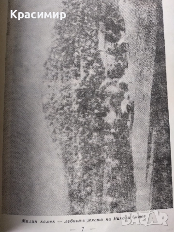 Антикварна Никола Симов - куруто .1966 г., снимка 7 - Антикварни и старинни предмети - 52089606