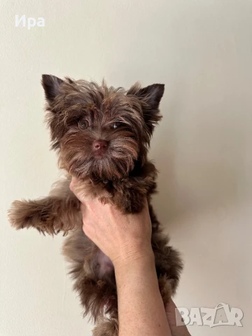 Момиче, снимка 1