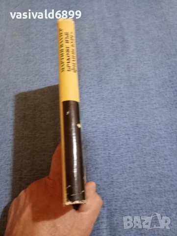 Мартин Валзер - Бракове във Филипсбург , снимка 2 - Художествена литература - 51276211