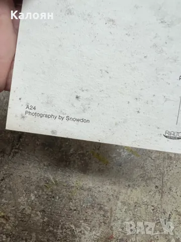 Картичка кралското с кралското семейство, снимка 4 - Колекции - 49418402