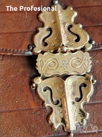 Стара луксозна Библия, снимка 2 - Антикварни и старинни предмети - 53677777