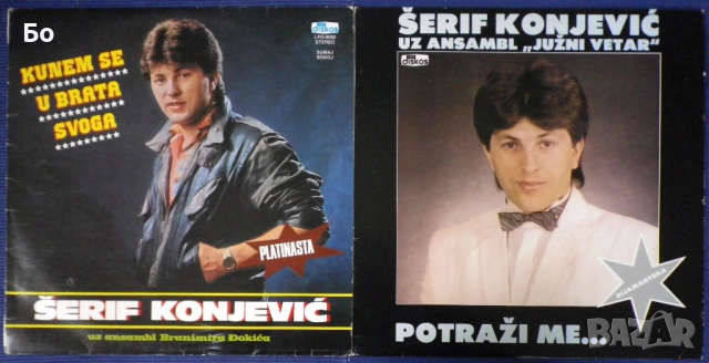 грамофонни плочи Miroslav Ilic, Vesna Zmijanac, Tozovac, Snezana Babic..., снимка 6 - Грамофонни плочи - 36888551