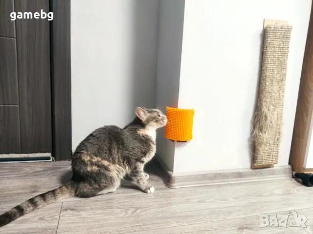 Чесалка за котки, снимка 9 - За котки - 47753818