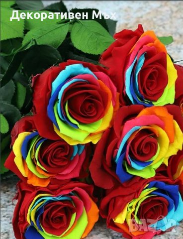 Естествени стабилизирани рози и цвят роза-за дома, подарък, декорация с мъх