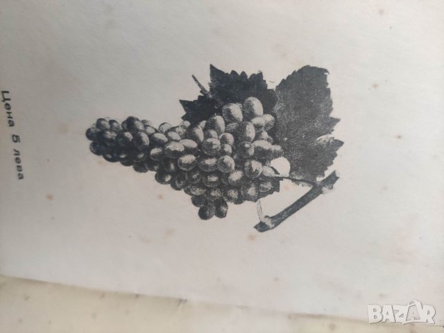 Продавам книга упътване за производство и износ на десертно грозде , снимка 3 - Други - 41473218