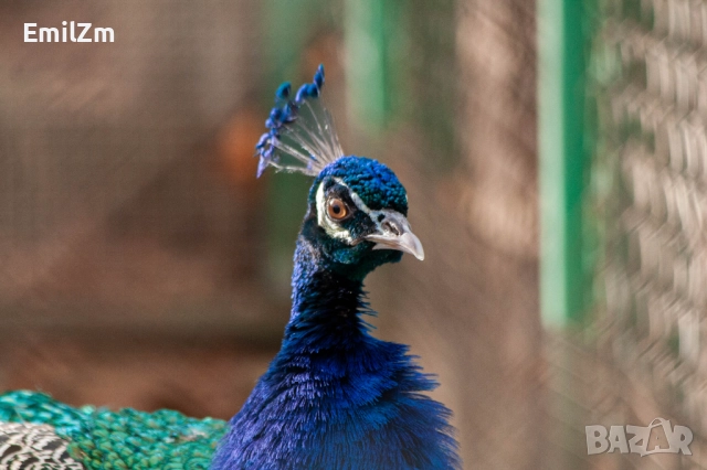 Фотоапарат Canon 350D, снимка 9 - Фотоапарати - 52166517