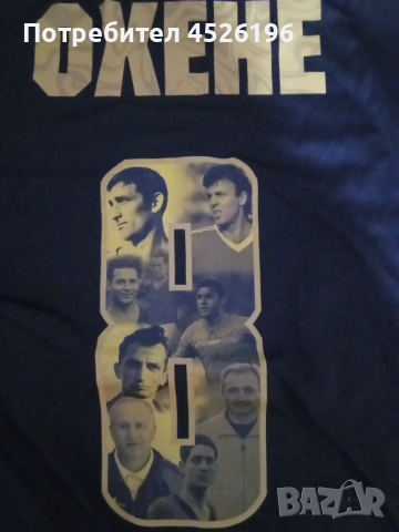 Тениска Левски София 110 г.Лимитирана