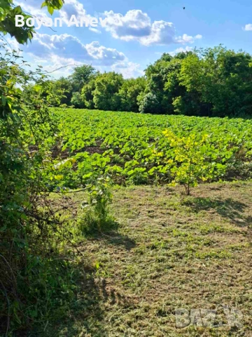 Имот в регулация, снимка 1