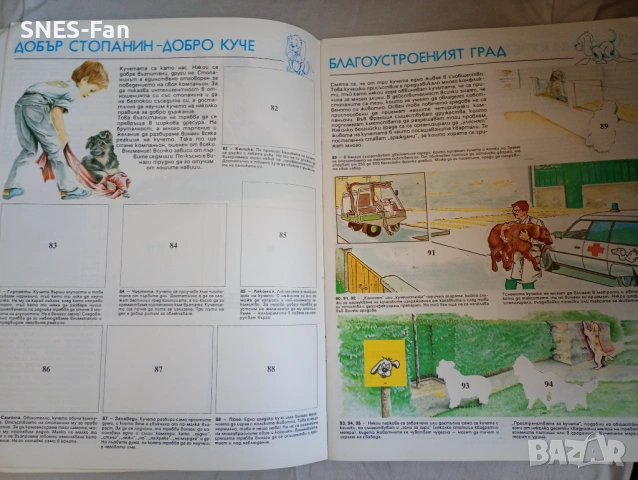 Албум Panini - Домашни животни, снимка 4 - Колекции - 53870434