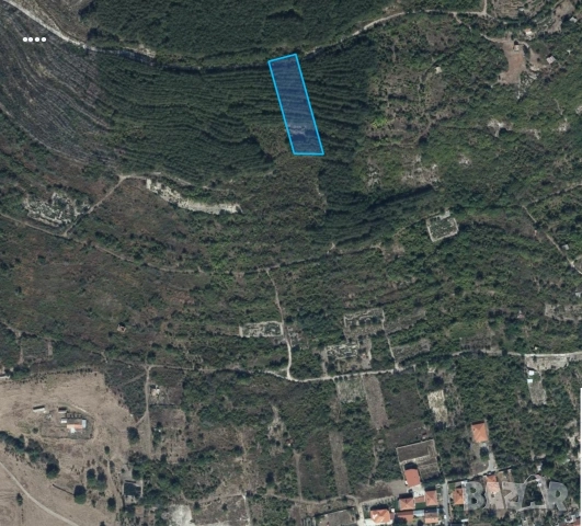 продавам 3 декара гора в кв.Дивдядово, снимка 2 - Парцели - 53594952