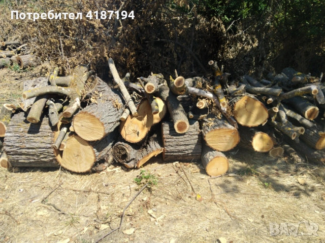Дърва за огрев 60лв