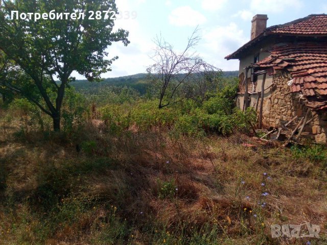 Къща с двор с. Ръжица, община Руен, снимка 5 - Къщи - 34349494