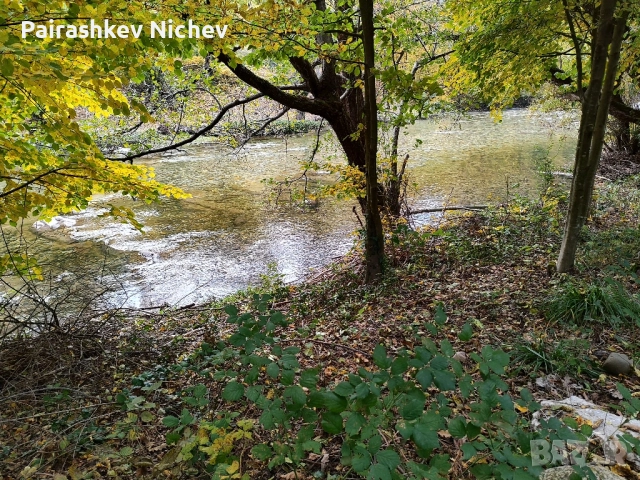 Панорамен Парцел , снимка 13 - Парцели - 47795715