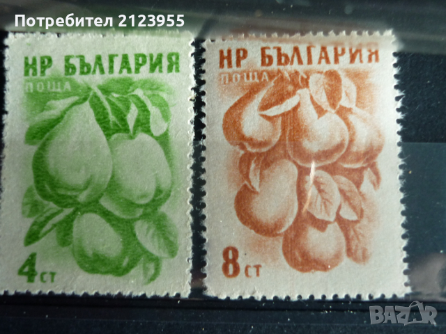 Пощенски марки, снимка 2 - Филателия - 36287424