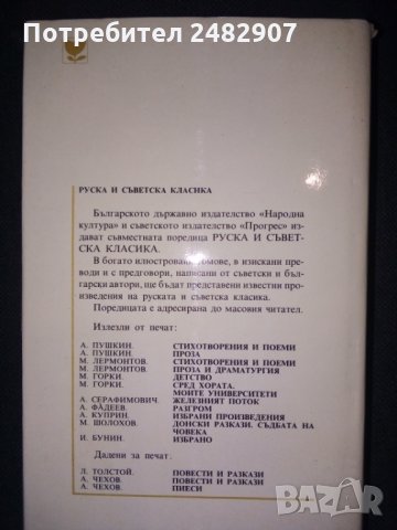 "Чапаев", "Метеж" , снимка 2 - Художествена литература - 35963671