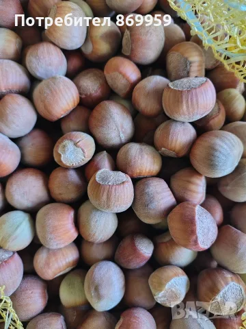 Продавам лешници , снимка 2 - Домашни продукти - 56333475