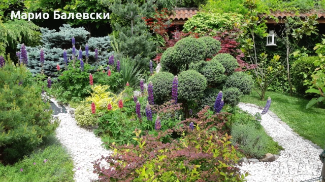 Озеленяване и поддръжка на градини , снимка 5 - Други - 53493481