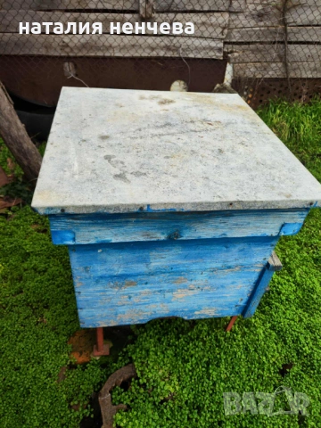 Продавам пчелно семейсво и инвентар , снимка 2 - За пчели - 53484644