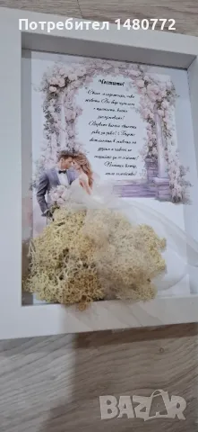 Картини със скандинавски мъх , снимка 6 - Картини - 48970318