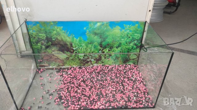 Аквариум 50 литра, снимка 5 - Аквариуми - 40334882