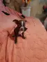кученце чихуахуа , снимка 3