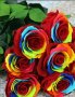 Естествени стабилизирани рози и цвят роза-за дома, подарък, декорация с мъх