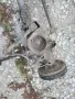 Заден мост Nissan Micra K11, снимка 8