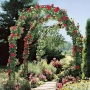 Декоративна градинска пергола тип арка – Опора за рози, лози и зеленчуци, устойчива на атмосферни ус, снимка 6