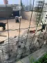 Здравейте, станах горд собственик на 9 кокер шпаньоли, големи сладки пухита на един месец, снимка 4