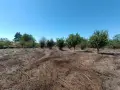Продава се къща с голям двор в с. Щипско, община Вълчи дол, снимка 8