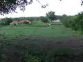 Къща , Стара Загора , село Пъстрен , снимка 2