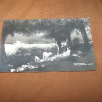 "Пастирка" романтична пощенска картичка от 1912г., снимка 4 - Филателия - 38816765