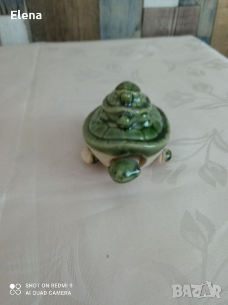 костенурка, снимка 1