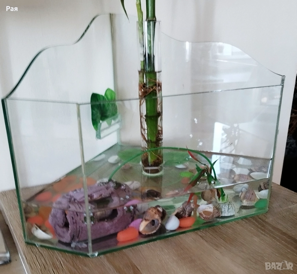 Терариум/аквариум здрав, снимка 1