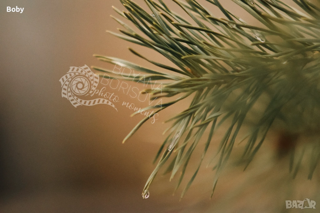 Принт за стена "Капка", снимка 1