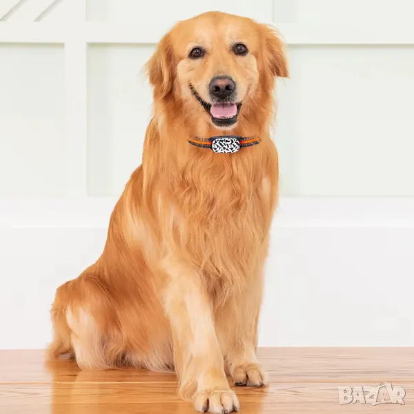 4G  GPS тракер, IP67, за  животни: кучета, котки, опция: предплатена СИМ карта, снимка 1