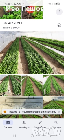 Зеленчукова ферма и база в регулация, снимка 8 - Парцели - 52958114